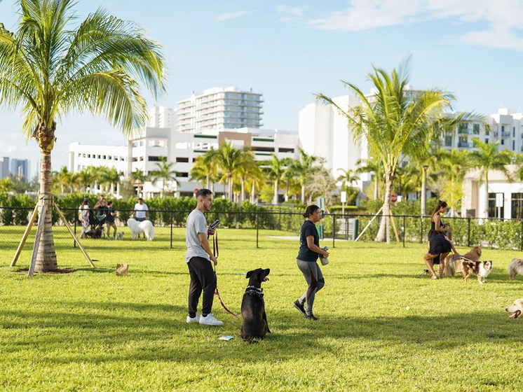 A man and woman are walking their dogs in a park.